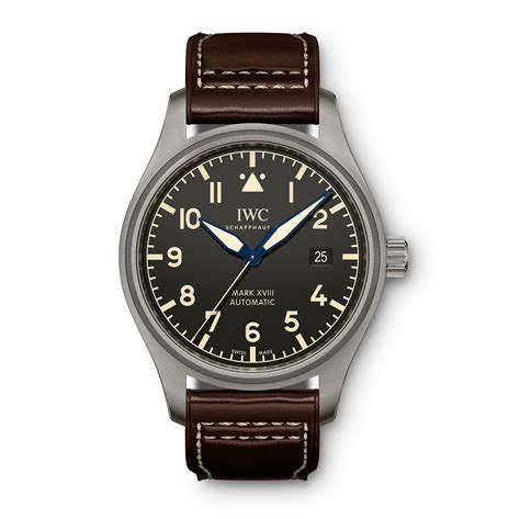 iwc wrist watch